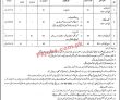 Jobs In Directorate Of Women Development Punjab Lahore