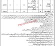 Jobs In Directorate Of Women Development Punjab Lahore