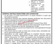 Jobs In Directorate Of Women Development Punjab Lahore