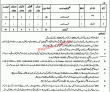 Jobs In District Council Sargodha
