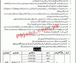 Jobs In District Education Authority Kasur