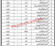 Jobs in District Education Authority Mianwali