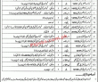Jobs In District Education Authority Pakpattan