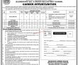 Jobs In District Education Officer District Sujawal