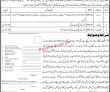 Jobs in District Education Officer Primary Dadu