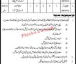 Jobs In District Education Officer Sujawal