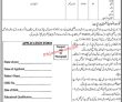 Jobs in District Education Officer Sukkur