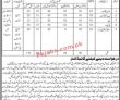 Jobs In District Education Officer Badin