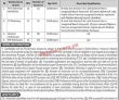 Jobs in District Health Officer Bannu