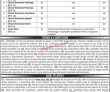 Jobs in District Health Officer Chitral