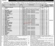 Jobs in District Health Officer Jamshoro