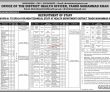 Jobs in District Health Officer Tando Muhammad Khan