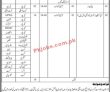 Jobs In District Population Welfare Office Sindh