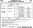 Jobs In District Population Welfare Office Tando Muhammad Khan