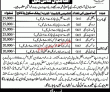 Jobs In District Public School & College Kasur