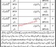 Jobs in District & Session Judge Jacobabad