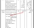 Jobs in District & Session Judge Layyah