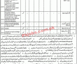Jobs In District & Session Judge Sahib Kasur