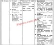 Jobs in Divisional Public School & College Toba Tek Singh