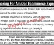 Jobs in E commerce
