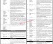 Jobs In Edubiz Private Limited