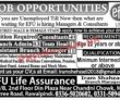 Jobs In Efu Life Assurance