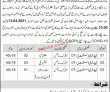 Jobs in Education Department AJ&K