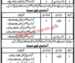 Jobs in Education Department Okara