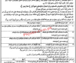Jobs in Education Department Rawalpindi