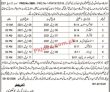 Jobs in Education Department