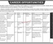 Jobs In Education Sector