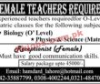 Jobs In Educational Sector