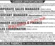 Jobs In Elegence Fabrics Lahore