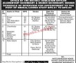 Jobs In Elementary Secondary & Higher Secondary Sukkur