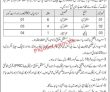 Jobs in Elementary & Secondary Education Department Muzaffarabad