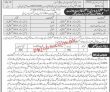 Jobs In Elementary & Secondary Education Department