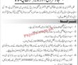 Jobs in Elementary & Secondary Education Department