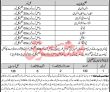Jobs In Elementary & Secondary Education Malakand