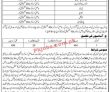 Jobs In Elementary & Secondary Education Peshawar