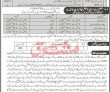 Jobs In Elementary & Secondary Education Tank