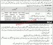 Jobs in Energy Department AJ&K