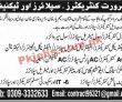 Jobs In Engineering Services Group Punjab