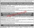 Jobs In Fmh College Of Medicine & Dentistry Shadman Lahore