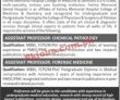 Jobs In Fmh College Of Medicine & Dentistry Shadman Lahore