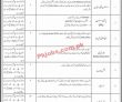 Jobs In Faisal Town Private Limited
