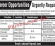 Jobs In Fast Growing Company