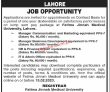 Jobs In Fatima Jinnah Medical University Lahore