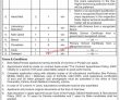 Jobs In Fatima Jinnah Medical University Lahore