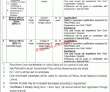 Jobs in Fatima Jinnah Medical University Lahore