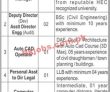 Jobs In Fazaia Housing Scheme